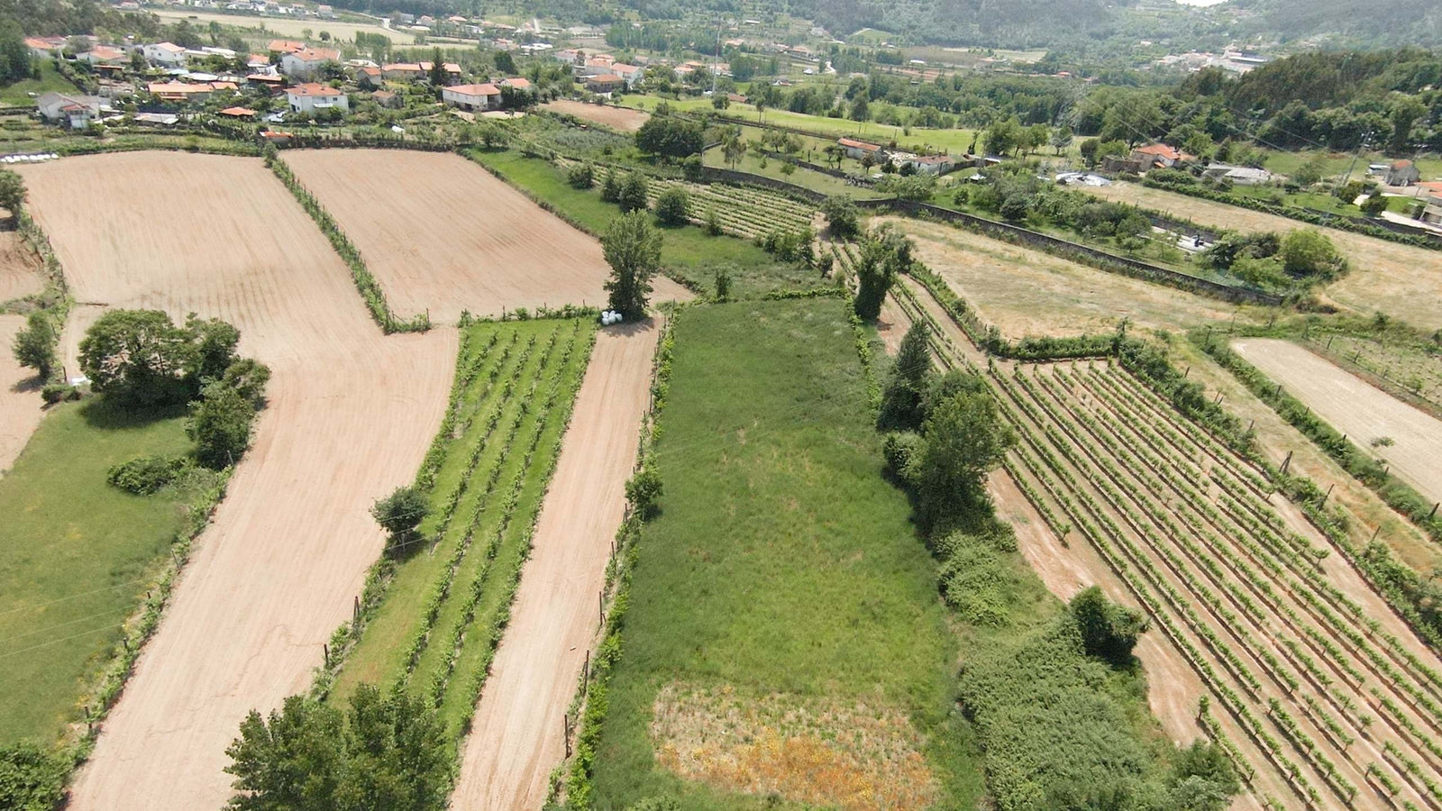 Terreno