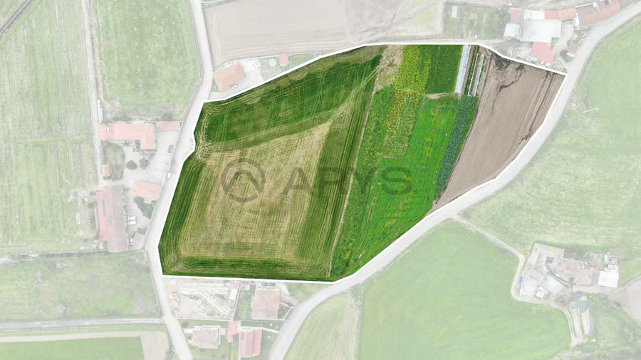 Terreno