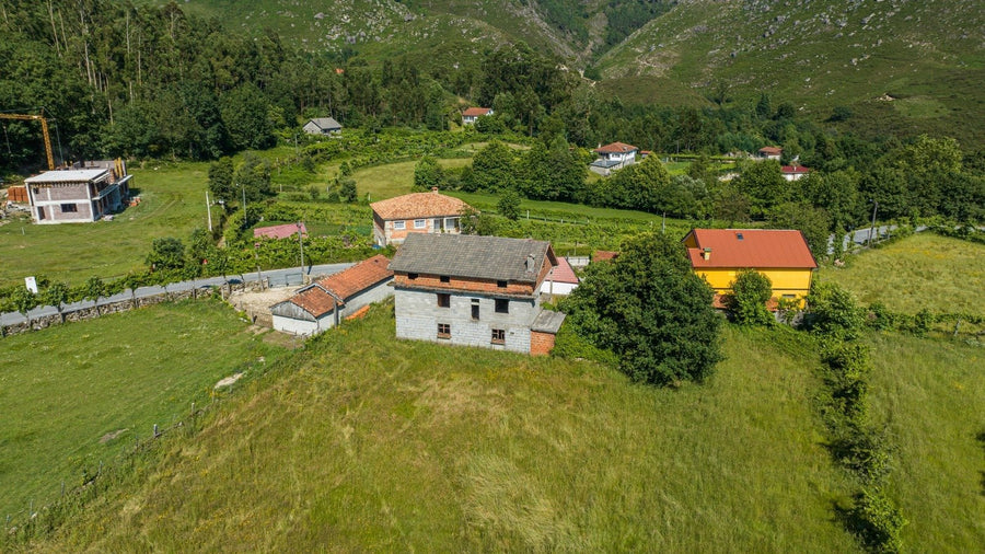 Terreno
