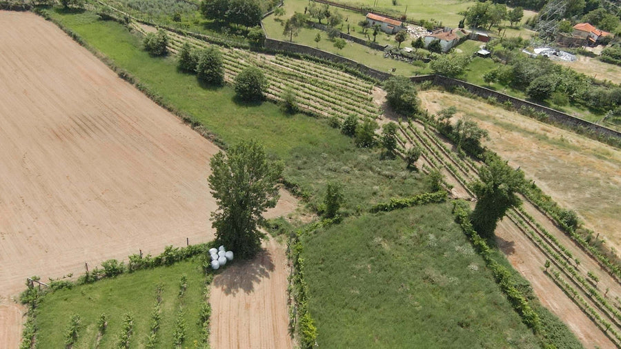 Terreno