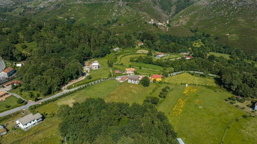 Terreno